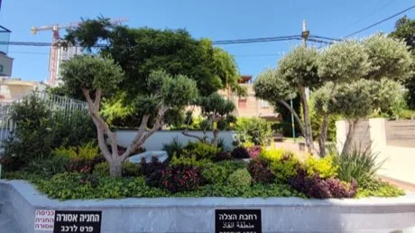גינה מטופחת בכניסה לבניין מגורים — עצי זית, ערוגות פרחים ושילוט חניה